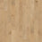 Dawson Maple 5 Inch Gold Dust VH041-01001