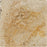 Full Tile Sample - Valencia Travertine Tile - 4" x 4" Filled & Honed