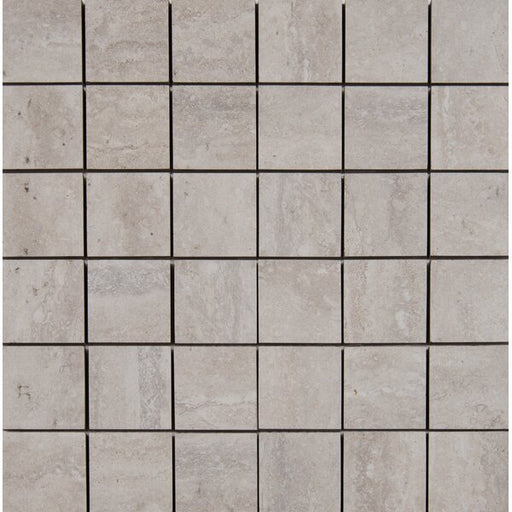 Veneto Gray NVENEGRA2X2