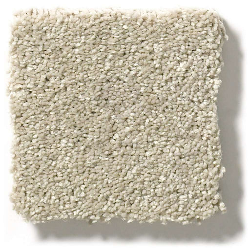Pet Perfect Plus Basic Rules Vicuna 00111