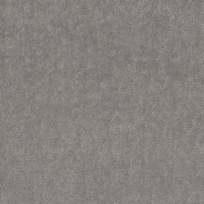 Pet Perfect Plus Home Within Polyester Vintage 00509