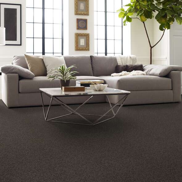 Soft Shades My Choice II Vintage Leather Textured 00755