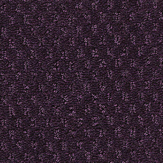 Influencer Classic Update Vintage Velvet 494