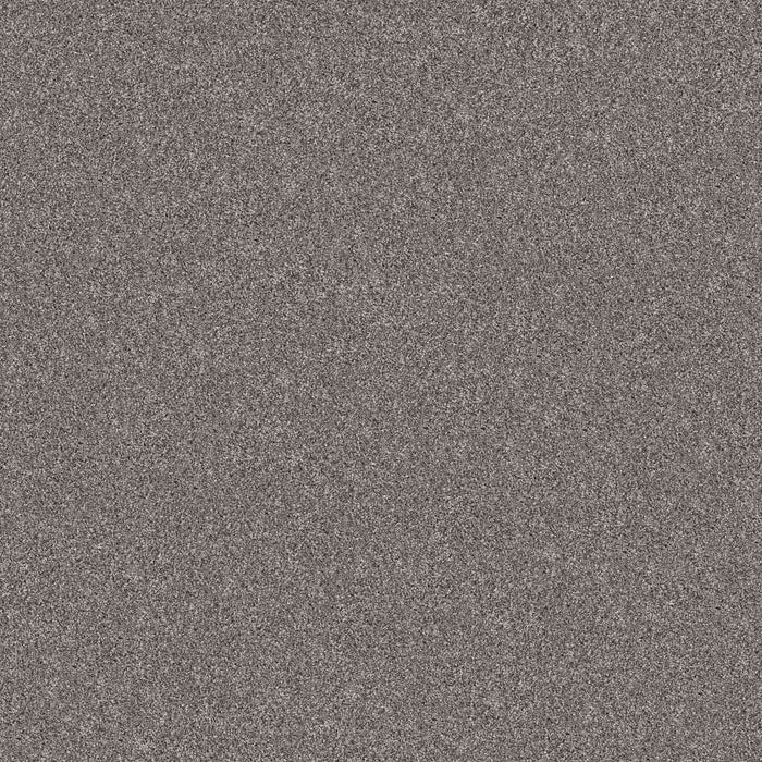 Pet Perfect Yes You Can I 15' Vintage 00509
