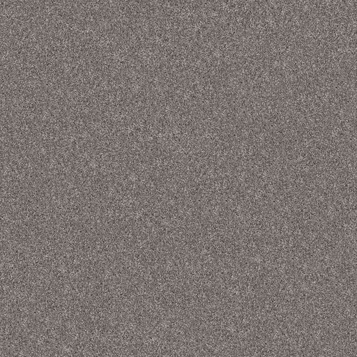Pet Perfect Yes You Can I 12' Vintage 00509