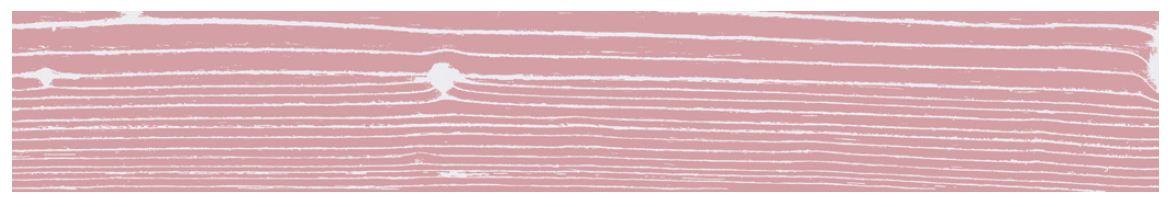 Uonuon Stare Viola 1 2329