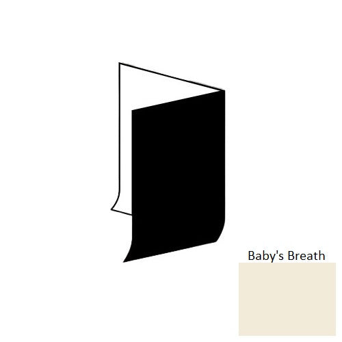 VCB Babys Breath 018