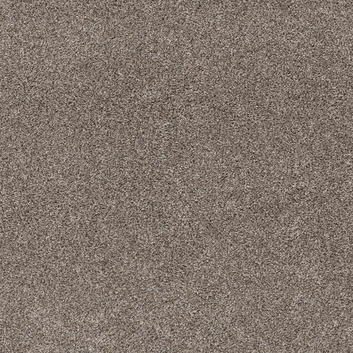 Pet Perfect Yes You Can II 12' Warm Light 00116