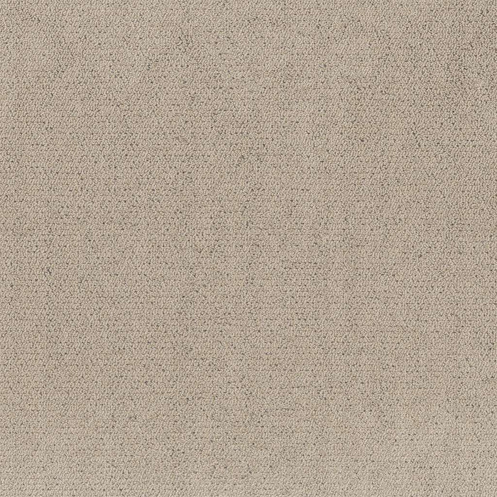 Pet Perfect Intricate Trace Polyester Warm Light 00116