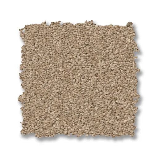 Elegant Beauty Warm Sand 00764