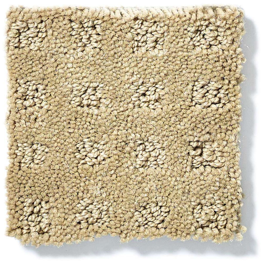 Shaw Foundations Alluring Disposition 00782 Warmth Nylon Carpet — Stone