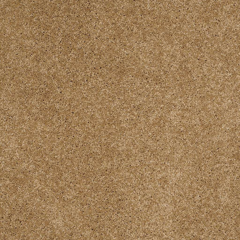 Shaw Foundations Keen Senses I 00782 Warmth Textured Nylon Carpet