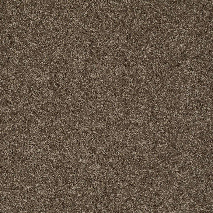 Soft Shades My Choice II Nylon Weathered Wood 00759