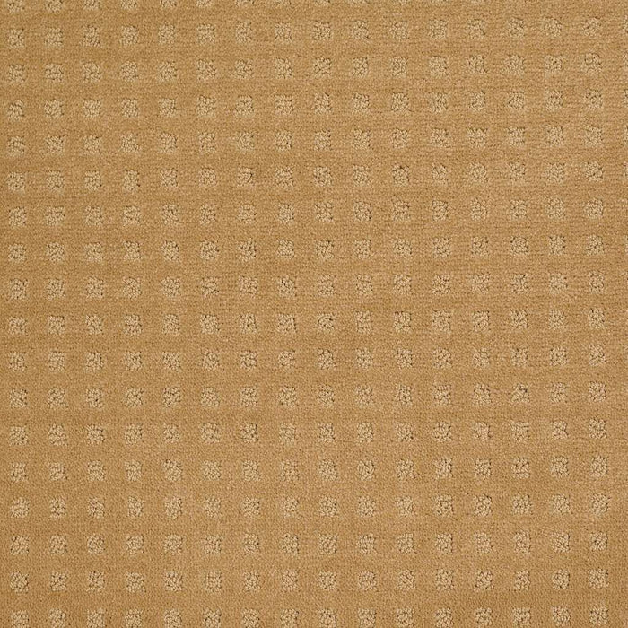 Shaw Floor Studio Style With Ease Nylon Wheat 00201