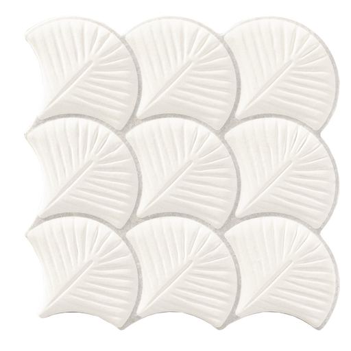 Shell 3D White REASCALSHEWH12