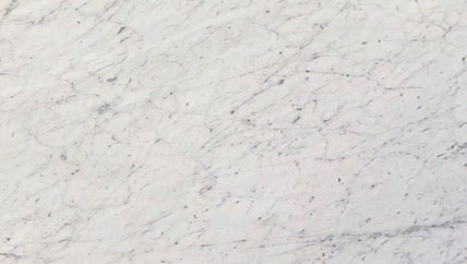 White Carrara Marble Tile -Honed
