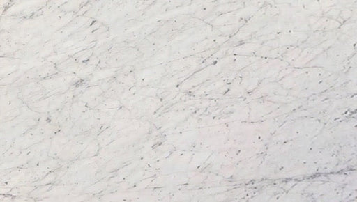 Full Tile Sample - White Carrara Marble Tile - 24" x 24" x 3/8" Polished