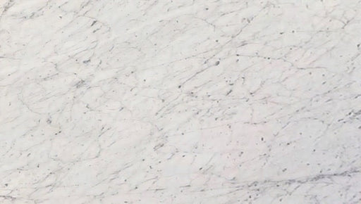 White Carrara Marble Tile - Honed