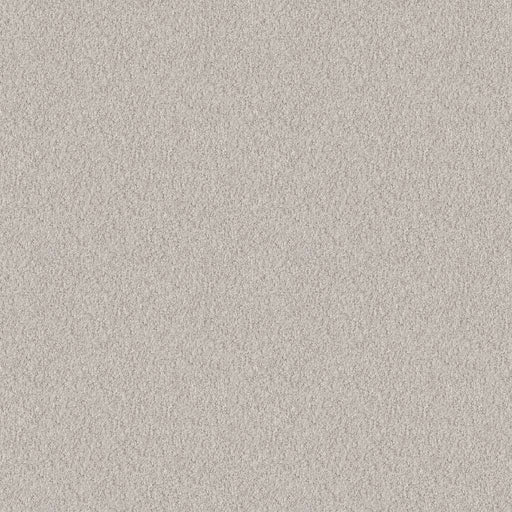 Foundations Alluring Canvas Winters Dawn 00102