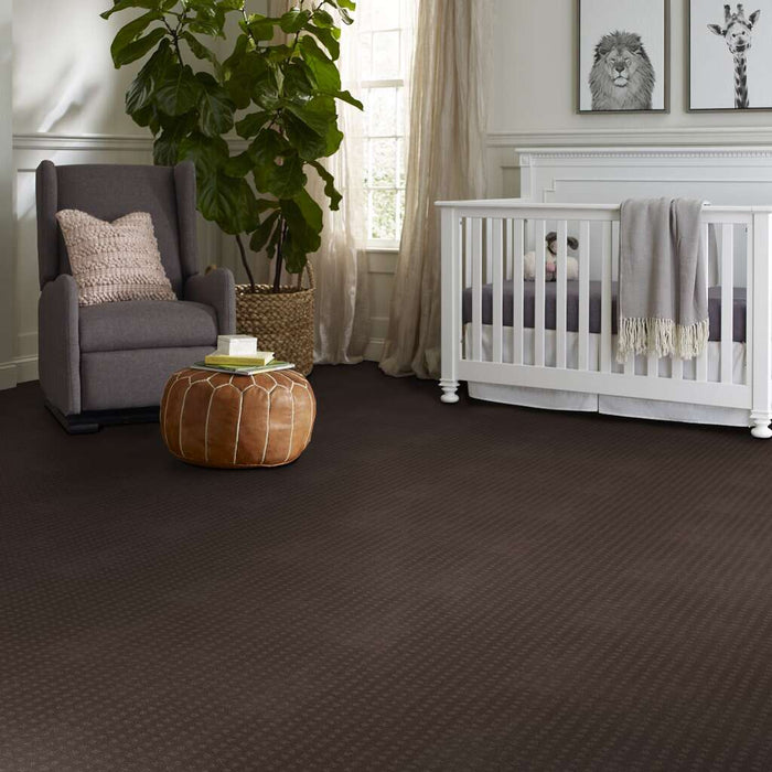 Shaw Floor Studio Style With Ease Wisteria 00900 Pattern Nylon