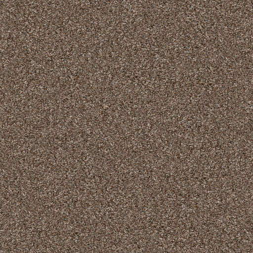 Pet Perfect Yes You Can II 12' Worn Path 00700