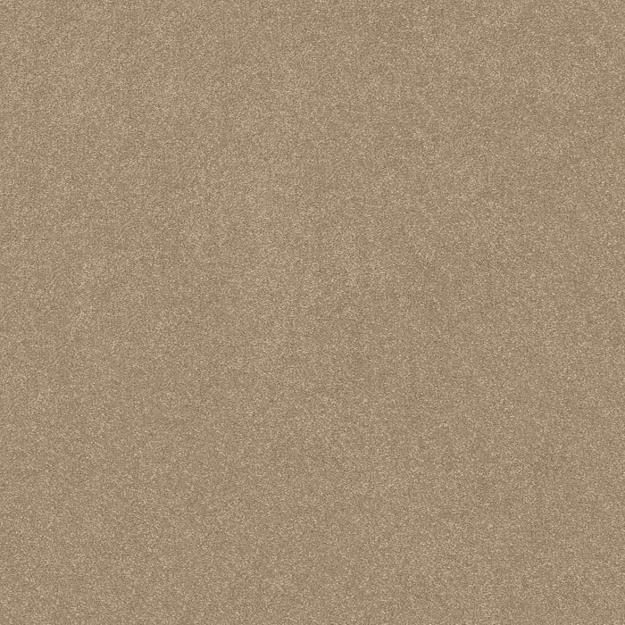 Pet Perfect Hard At Play I 12' Polyester Worn Path 00700