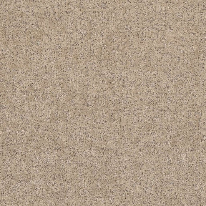 Pet Perfect Plus Home Within Polyester Worn Path 00700