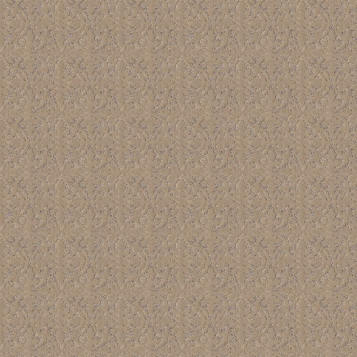 Pet Perfect Plus Light Impressions Polyester Worn Path 00700