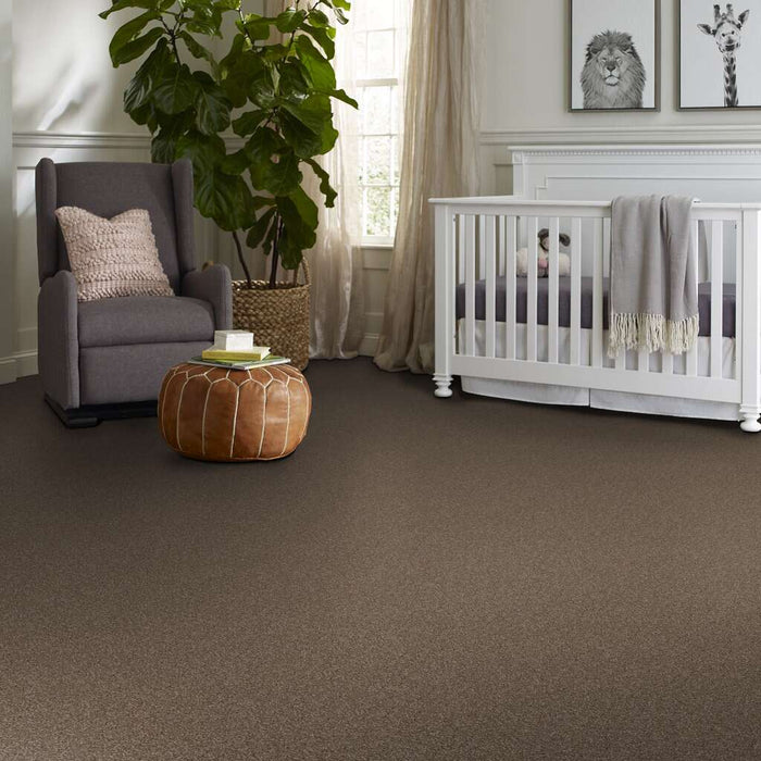 Pet Perfect Yes You Can III 15' Worn Path Textured 00700