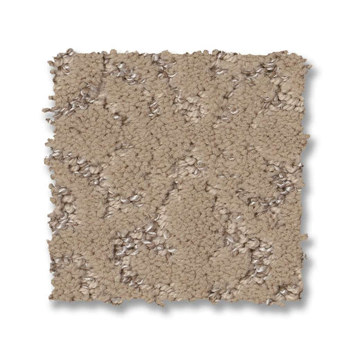 Pet Perfect Plus Light Impressions Worn Path 00700