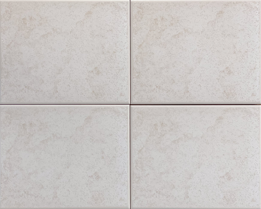 Facarolo Zampini Ceramic Tile - 8" x 10" x 1/4" Matte