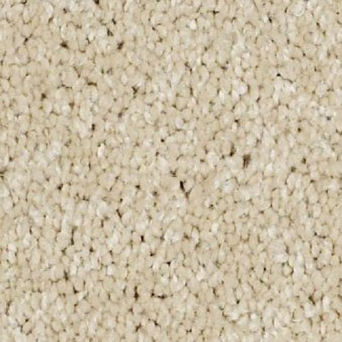 Izzy Fortune Cookie 00101