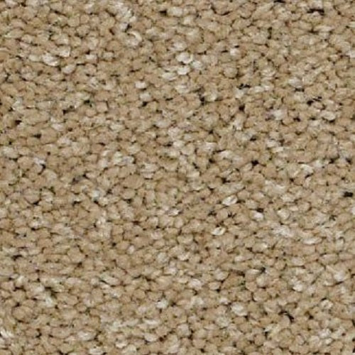 Izzy Passive Tan 00700