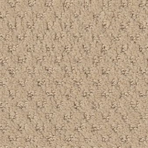 My Rules Cornflower 00212