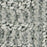 Loredo Warm Spring 00342