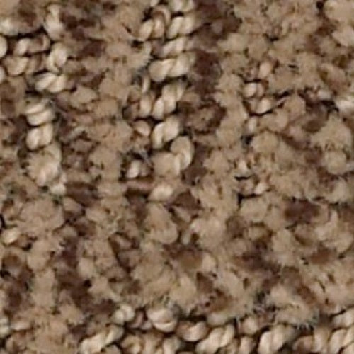 Loredo Desert Beach 00765