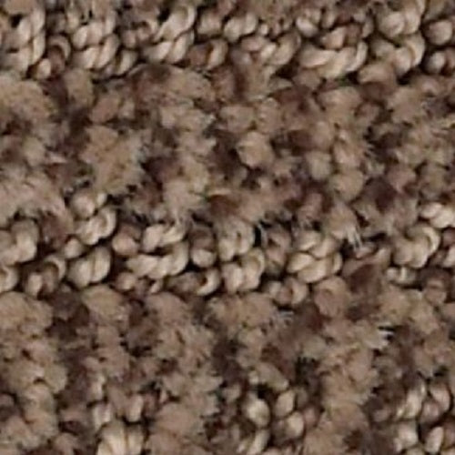 Loredo Fallen Timber 00776