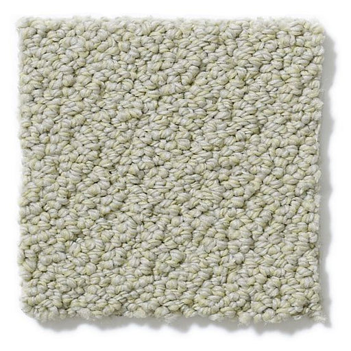 Pet Perfect On Point Dusty Jade 00312