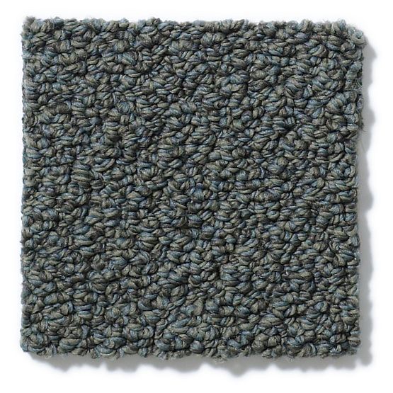 Pet Perfect On Point Shadow Ridge 00546