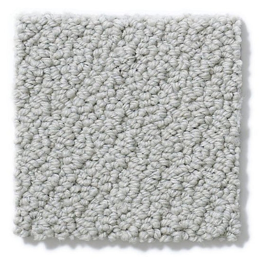 Pet Perfect On Point Sea Mist 00551