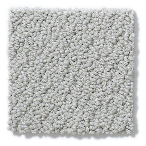 Pet Perfect On Point Sea Mist 00551