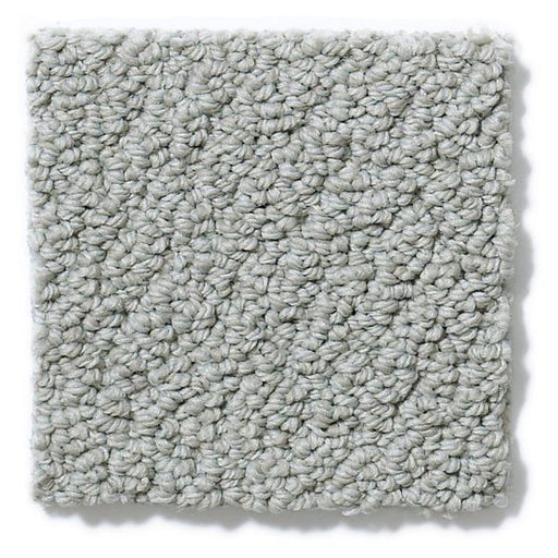 Pet Perfect On Point Hazy Gray 00552