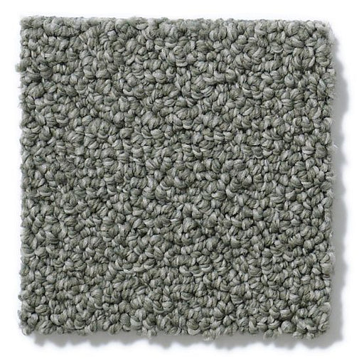 Pet Perfect On Point Hidden Cove 00555