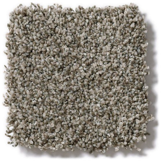 Pet Perfect Oliver's Twist Slippery Rock 00122