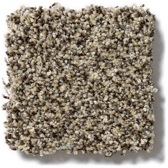 Pet Perfect Oliver's Twist Slate Escape 00224