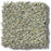 Pet Perfect Oliver's Twist Pacific Beach 00320