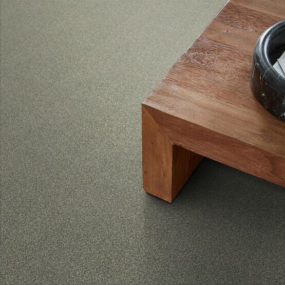 Pet Perfect Oliver's Twist Pacific Beach Textured 00320