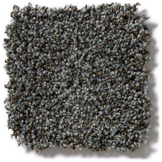 Pet Perfect Oliver's Twist Shadow Play 00422