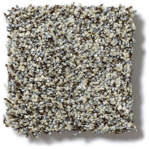 Pet Perfect Oliver's Twist Blue Waltz 00722