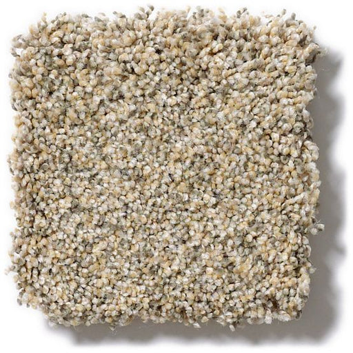 Pet Perfect Mollie's Turn Sand Dune 00223